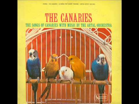 Canary Medley - The Artal Orchestra