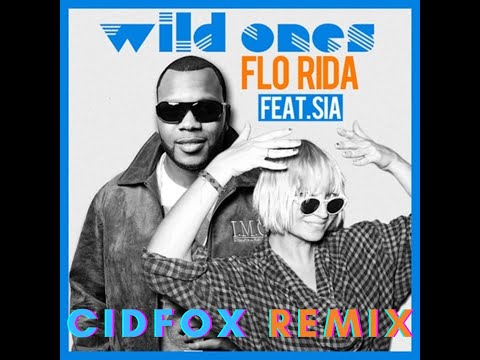 Wild ones - CidFox Flip