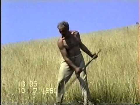 Petrica Nicoara-Merg la tata la mormant 2013