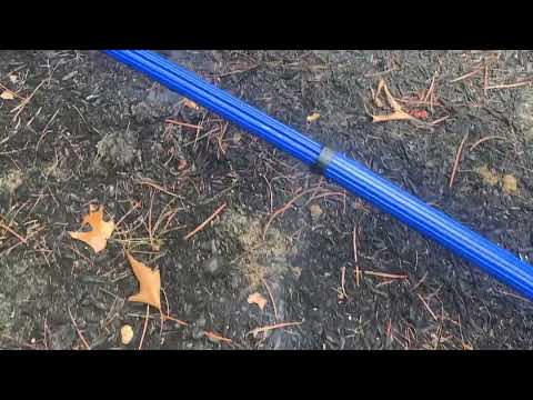 Following the Mole Tunnels in West Windsor, NJ