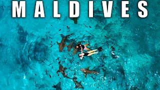 The Maldives... on a budget!