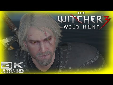 We Survived A Shipwreck - The Witcher 3: Wild Hunt Part 259