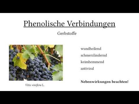 Wird die Physiotherapie mit Osteochondrose Kartoffeln und Gelenke