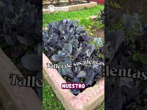 vacaciones en rancho las santas