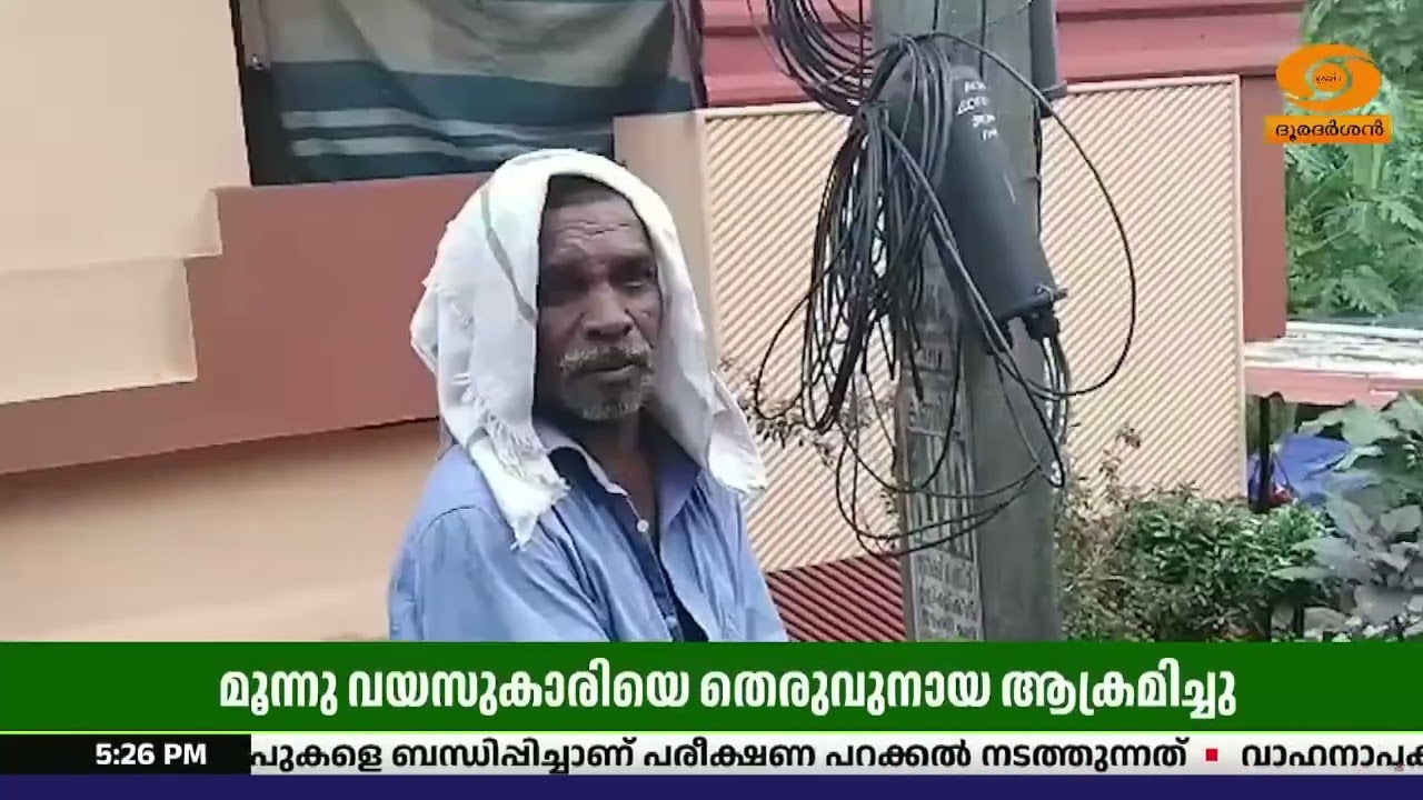 പത്തനംതിട്ട ഓമല്ലൂരിൽ മൂന്നു വയസുകാരിയെ തെരുവുനായ 