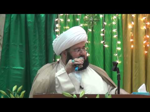 ⁣وظيفتنا في زمن الغيبة - الشيخ الدكتور محمد جمعة