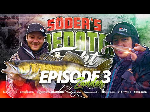 Predator Fight 2021 - Episode 3