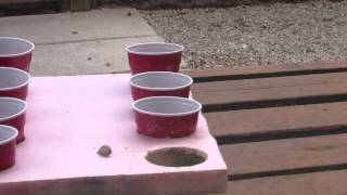 P3 Jaylin Mcinerney Hidden Shapes Project 2 HD 720p