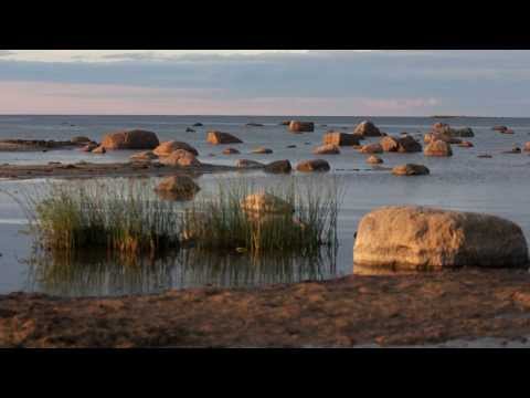 Alen Veziko - "See maa