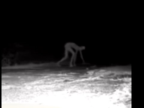 The Biologics Descend