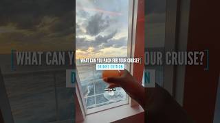 🛳️What Can You Pack For Your Cruise: Drinks Edition 🍹🥂