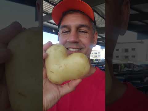Sábado é dia de Feira Livre em Paramirim Bahia 