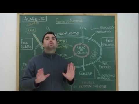 Review for ACAFE 2016: Photosynthesis (Prof. Guilherme)