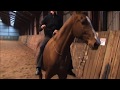 Parelli Freestyle Katja Schumann Ushastik Pass 3