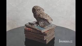 Sova na knihách – dekorativní šperkovnice, tajná schránka, bronzovaná figurka Veronese WU75509A4