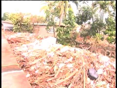 La casa de don Juvencio sepultada por palos y lodo