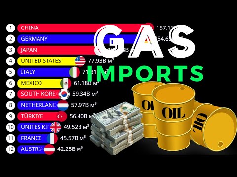 THE LARGEST GAS IMPORTERS In The World (OPEC Data)