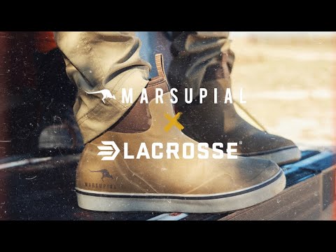 ALPHABURLY PRO 1000 GRAM