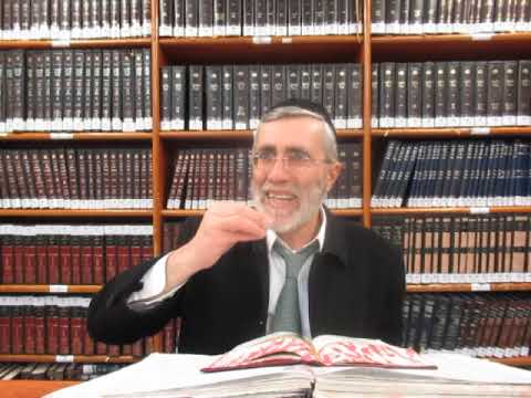 הרב יהושע ביבי -תשפ"ו -עמידה -שיעור מס' 114 - זיווג או''א בתיבת אבותינו ובקו''ה והנפק''מ להלכה