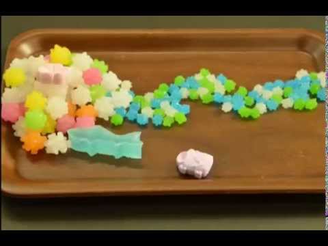 メディア情報学科 相模女子大学メディア情報学科2014オープンキャンパス：金平糖の波