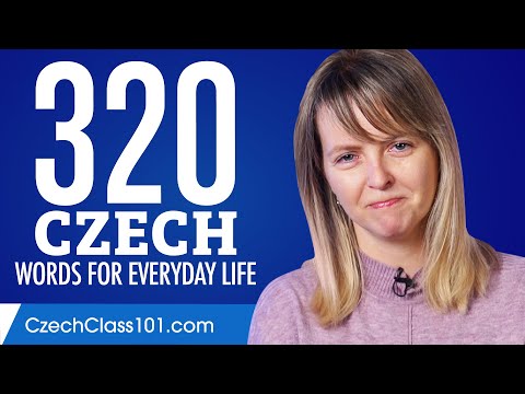320 Czech Words for Everyday Life - Basic Vocabulary #16