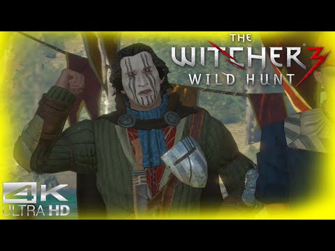 Bugger Me Sideways - The Witcher 3: Wild Hunt Part 266