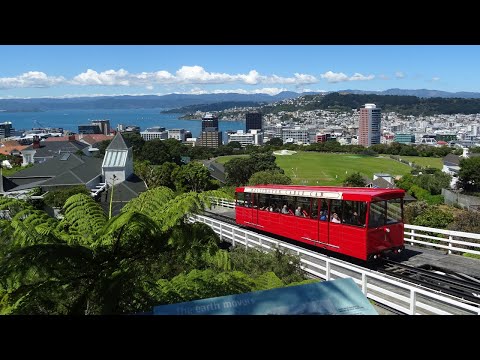 Discovering Wellington - A Quick Tour