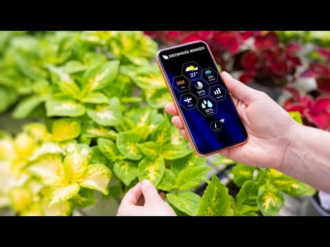 Best Free 15 plants identification apps 2024 | Top indoor or outdoor Plant App for Identity and Care
