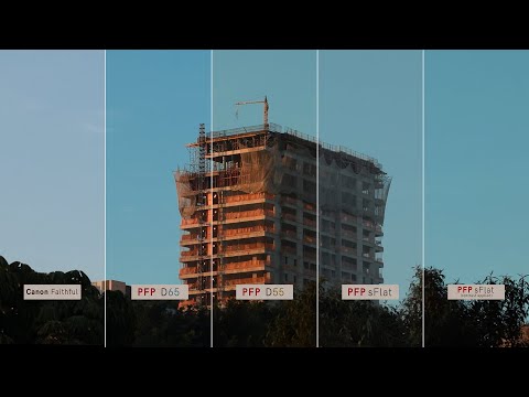 Film Simulation Canon Picture Style - Kodak Vision Color