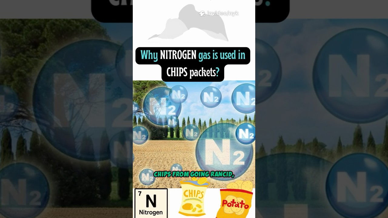 🌬️🍟Crunch Secrets: The Nitrogen Magic in Your Chips Pack! 🌬️🍟