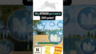 🌬️🍟Crunch Secrets: The Nitrogen Magic in Your Chips Pack! 🌬️🍟