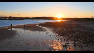 Since You've Asked by Judy Collins