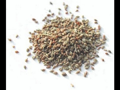 download lagu mp3 mp4 Ajwain In Malay, download lagu Ajwain In Malay gratis, unduh video klip Ajwain In Malay