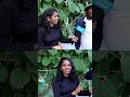 Uangalukku Aunty Pudikuma Comedy Trending Trendingvideo Love Funnyvideos Trendingshorts