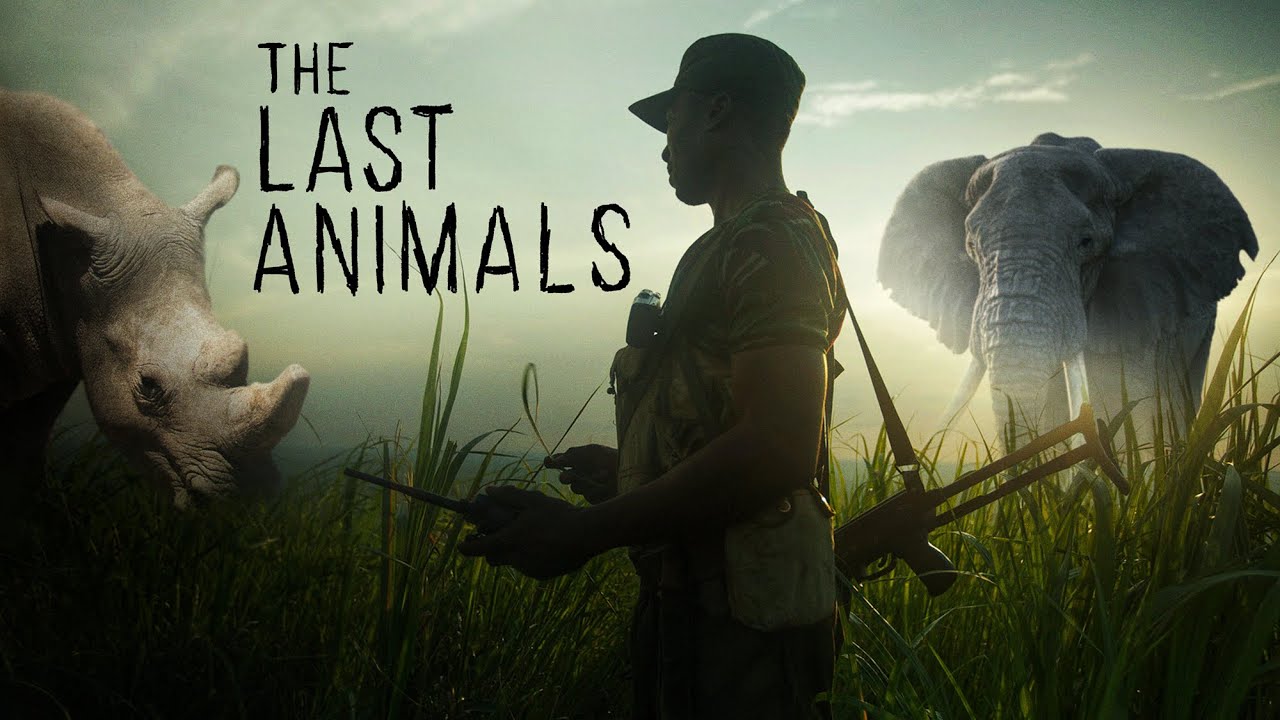 The Last Animals Official Trailer