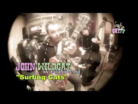 CatTv - John Wildcat & Vildkatterna - Surfing Cats (Live @ Nasty Music Studio 20170216)