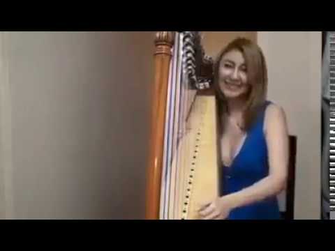 Amazing! Harp Cover - The Ballade Pour Adeline