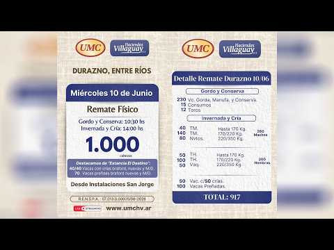 Desde Instalaciones San Jorge - 1.000 cabezas - Durazno (E.R.) hoy 14 hs.