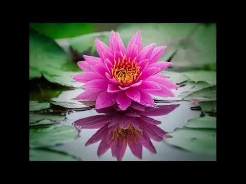 Daimoku - Nam Myoho Renge Kyo - 15 minutes