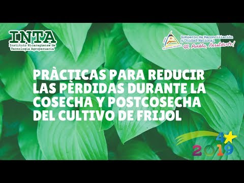 , title : '#INTA Pràcticas para reducir las pèrdidas durante la cosecha y postcosecha del cultivo de frijol'