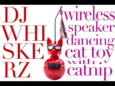 DJ Whiskerz  |   Wireless Speaker Dancing Cat Toy with Catnip