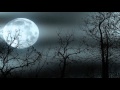 Moonlight Sonata [Ludwig van Beethoven] 