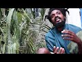 The Origin Of Freeform Locs Break Free From Locks