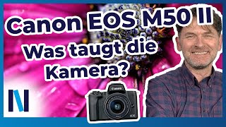 Canon EOS M50 Mark II: Ist sie für Dich geeignet und was kann sie?