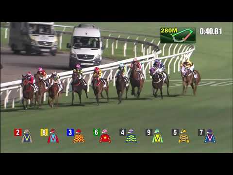 8/4/2021 (567) Massive Pocket - Vincent Ho