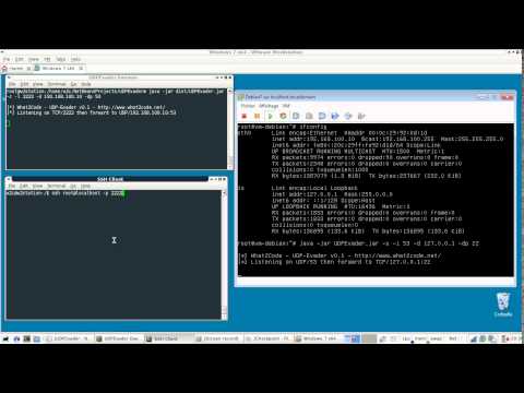 What2Code - Checkpoint DNS TEXT/TXT Records Evasion