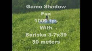 preview picture of video 'Gamo Shadow 1000 fps bottle shootin''