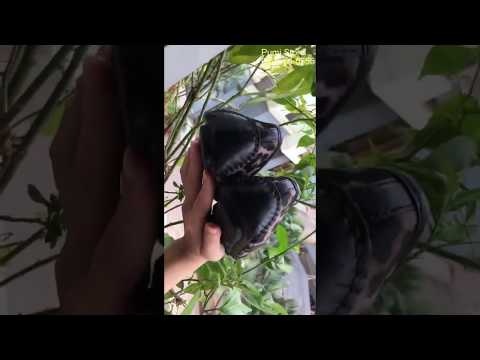 Video sản phẩm
