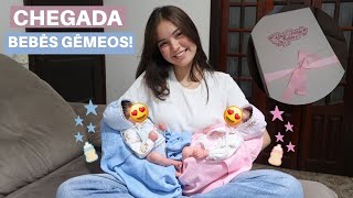 CHEGADA DOS MEUS NOVOS BEBÊS GÊMEOS! 👶👶