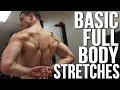 BASIC STRETCHES FOR ENTIRE BODY! | Improve Posture, Physique & Mobility